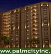 Palm City