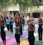 Yoga Teacher Training in Rishikesh