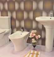 Star - Bellezza Sanitary Ware factory