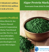 algae protein market