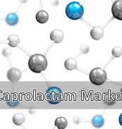 Caprolactam Market 