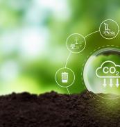 Carbon Credit Market