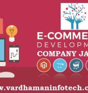 E-commerce Development Company in India 