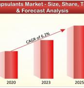 Encapsulants Market