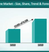 Fluorosilicone Market