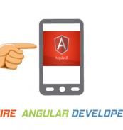 If are you lookingg best angularJS developer for your project then logicspice provide best dedicated experiance developer.