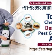 pest control services