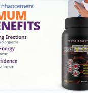 Pro Testo Elite Order
