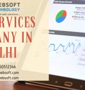 SEO Services  Company In Delhi