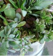 best florist in phoenix