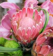 best florist in scottsdale