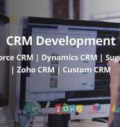 CRM Development, Customization, Integration & Consulting Services