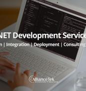Microsoft .NET Development & Consulting Services for Web, Software & Application