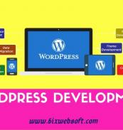 WordPress Development Company- WordPress Theme, WordPress Website