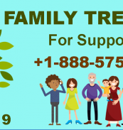 family tree maker banner