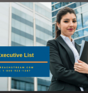C-Level Executive Email List