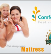 Comfort Sleep Egypt 