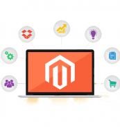 Hire Magento Developer