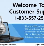 hp customer support number