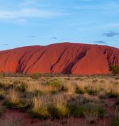TourChief Uluru Tours