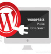WordPress plugin development