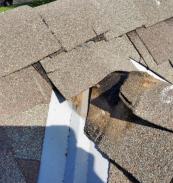 hole in roof and damage shingles needs roof leak repair