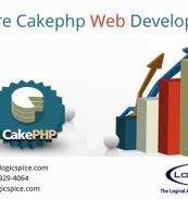 Hire CAKEPHP Developers 