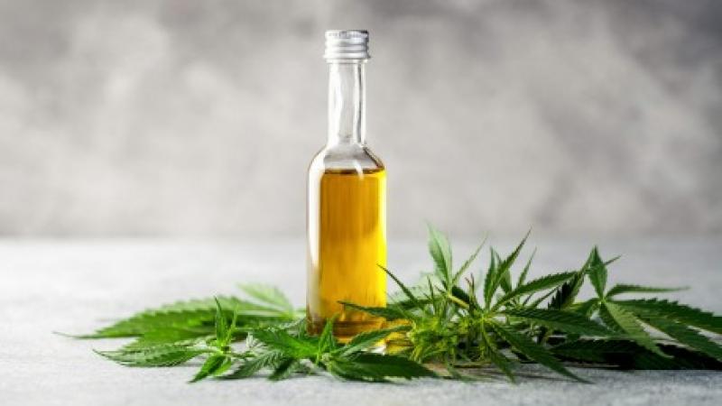 Ultra CBD Extract Ecuador