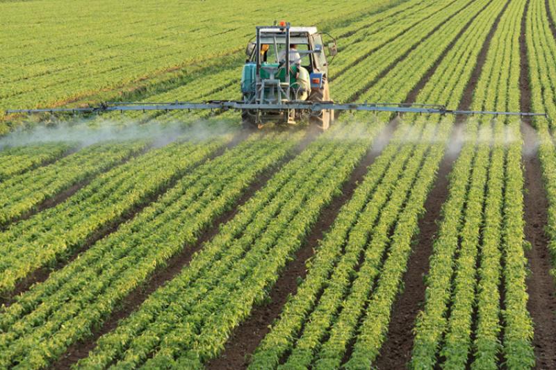Crop Protection Pesticides Market