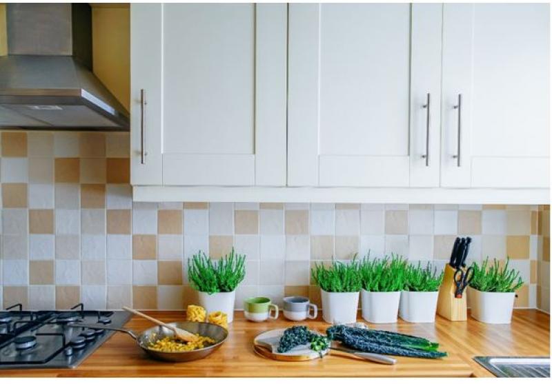 A Luxury Home is All You Need for a Delightful LifeStyle 