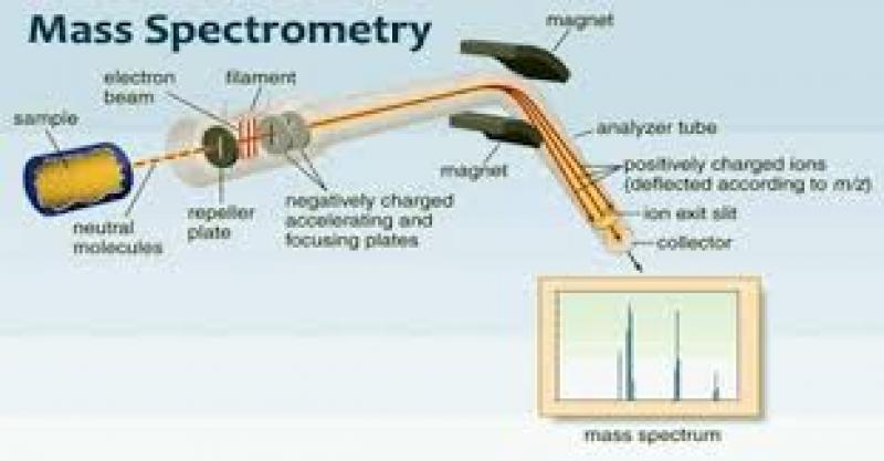 Mass Spectrometry Mass Spectrometry