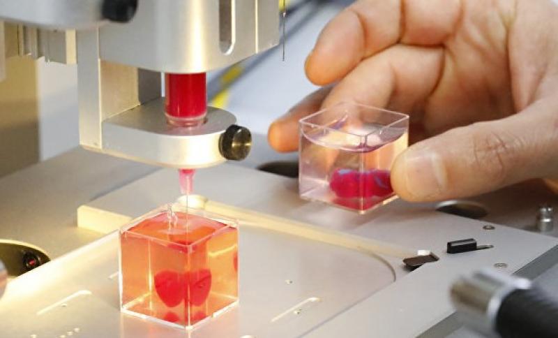 3D Biological Printing