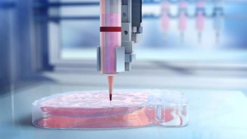 3D Bioprinting Market 