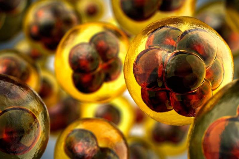 3D Cell Culture System Market
