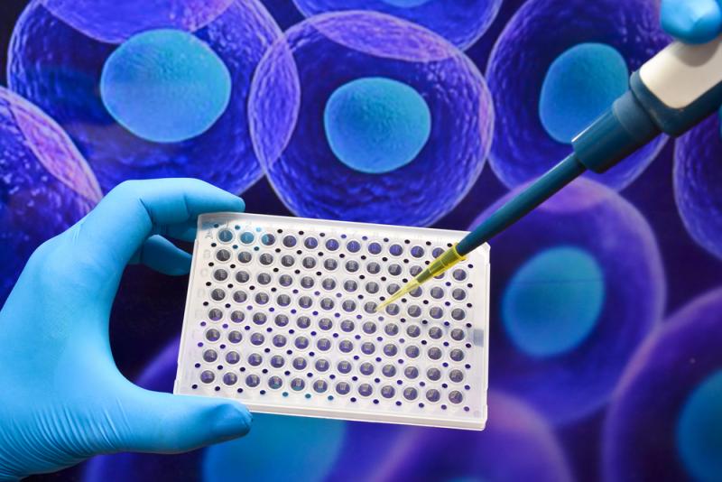 3D cell culture Market