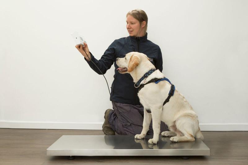 Marsden donate veterinary scale to mental health charity