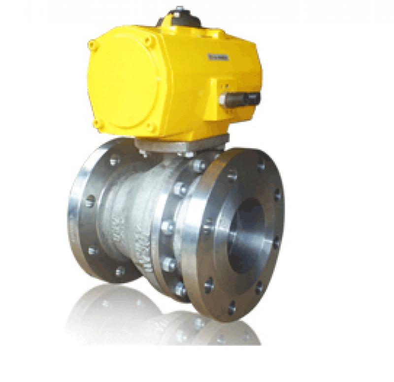 Ball Valves Manufacturer in India