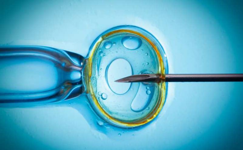 Global In-Vitro Fertilization Market