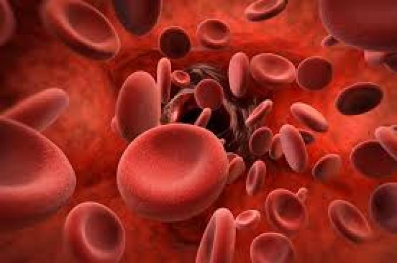Global Hemophilia Market