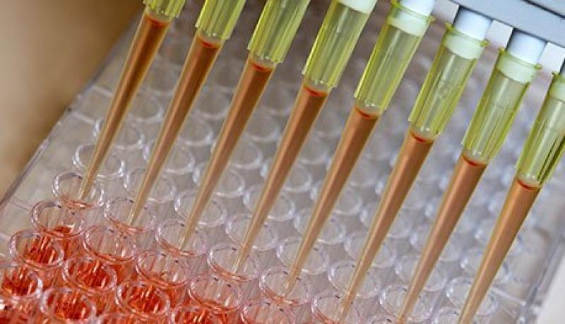 In-Vitro Toxicology Testing Market