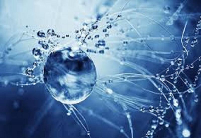 AMI Smart Water Management