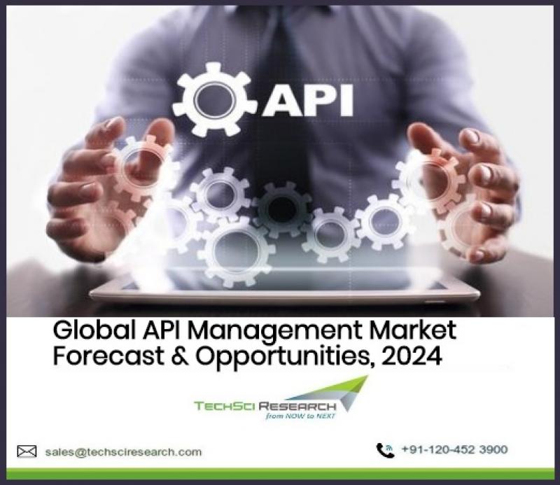 API Management Market Report