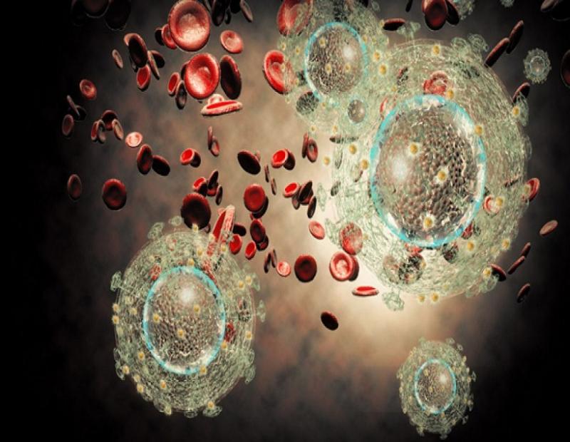 Acute Myeloid Leukemia Treatment, Acute Myeloid Leukemia Treatment Market, Acute Myeloid Leukemia Treatment Market Growth