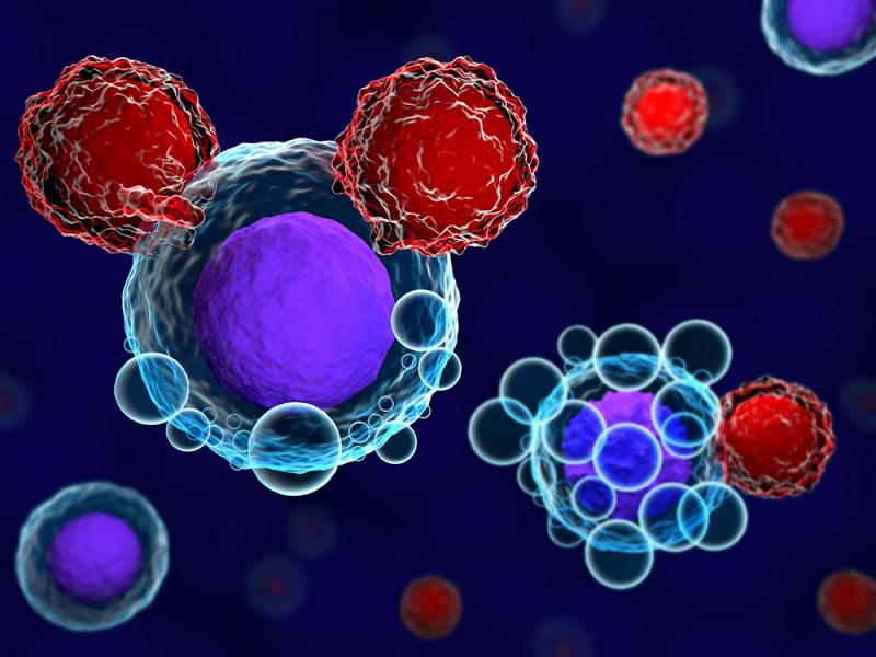 Adoptive Cell Therapy Market