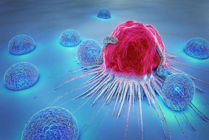 Adoptive Cell Therapy Market Adoptive Cell Therapy Market
