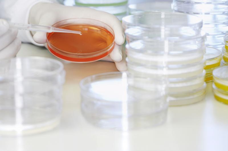 Adult Bovine Serum Market