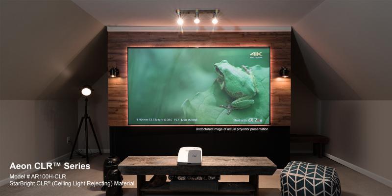 Projection Screen