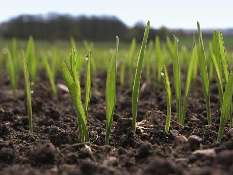 Agricultural Biologicals Testing Market