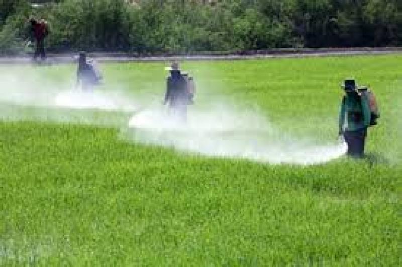 Agricultural Disinfectants Market
