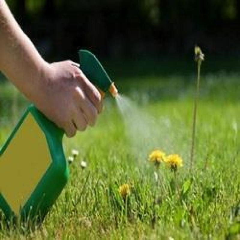 Agricultural Herbicides